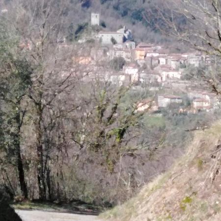 Ferienwohnung La Difesa San Romano  Exterior foto