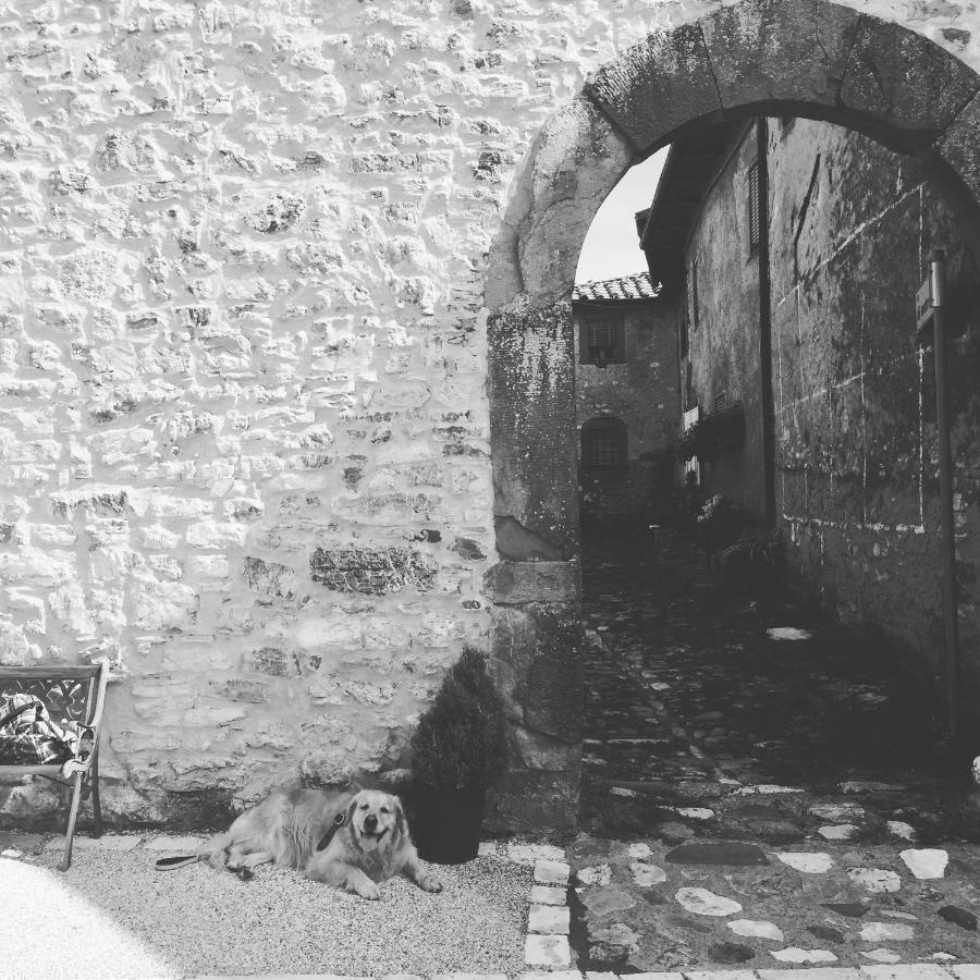 Ferienwohnung La Difesa San Romano  Exterior foto