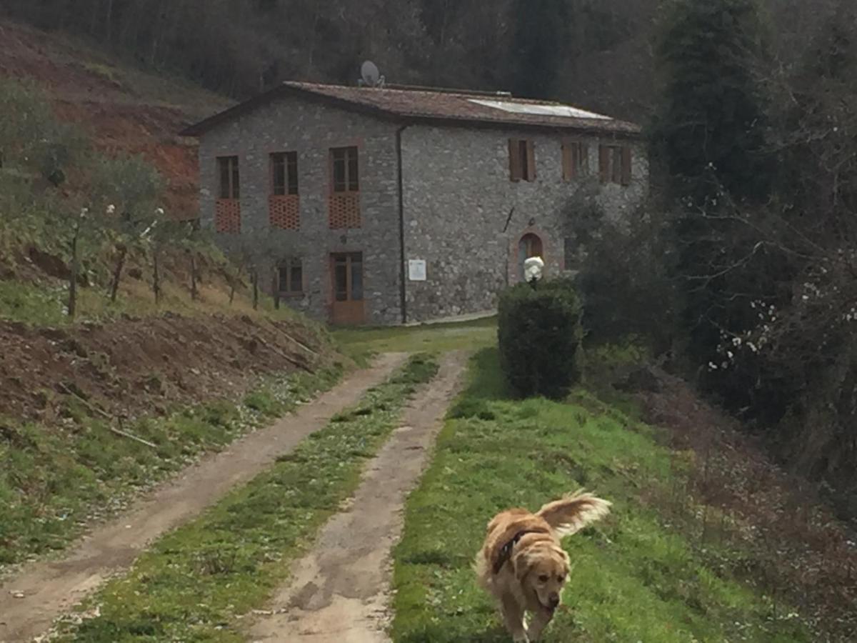 Ferienwohnung La Difesa San Romano  Exterior foto